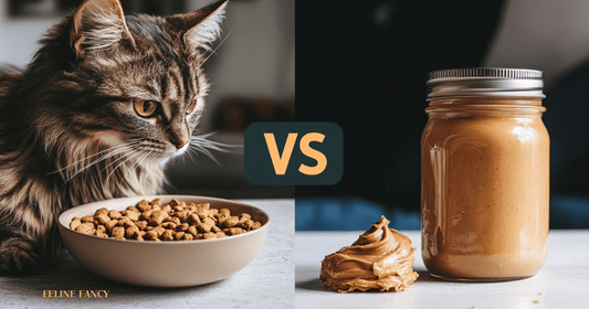 cat vs peanut butter 