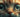 A cat that looks like its crying, but is it ? 