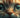 A cat that looks like its crying, but is it ? 