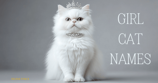 Girl Cat names with Feline Fancy logo.