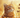 300+ Orange Cat Names with Feline Fancy Logo