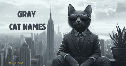 A sleek and stylish grey cat sits confidently, wearing silver aviator sunglasses and a perfectly tailored grey suit.