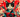 Japanese Cat Names with Feline Fancy Logo.