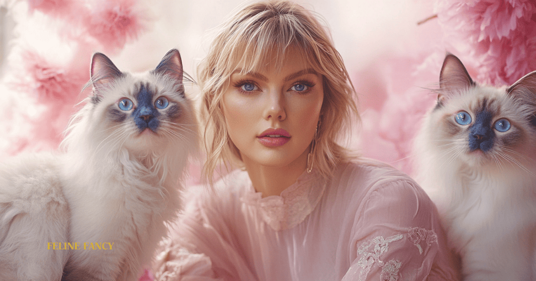 Swift with two cats