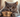 Tuna Can with British Shorthair Cat
