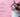 A female calico cat looking cute with a plain bold colour background.