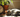 A peaceful indoor scene showing a cat curled up in a sunbeam, with a clock subtly placed nearby to represent the passing of time and emphasize long cat sleep hours.