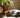 A peaceful indoor scene showing a cat curled up in a sunbeam, with a clock subtly placed nearby to represent the passing of time and emphasize long cat sleep hours.
