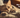 Cat wrapped in blanket with wording "Why Do Cats Knead?" and Feline Fancy Logo.