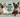 A collage-style layout featuring four Siamese cats (seal point, chocolate point, blue point, and lilac point)