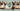 A collage-style layout featuring four Siamese cats (seal point, chocolate point, blue point, and lilac point)