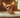 A Sphynx cat being gently bathed in a warm, modern bathroom, highlighting its hairless skin and affectionate gaze.