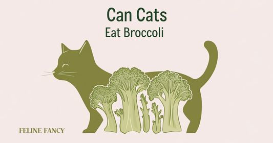 illustration of a cat silhouette with a broccoli shape inside its body, clean lines and soft color blocks, modern sans-serif text "Can Cats Eat Broccoli"