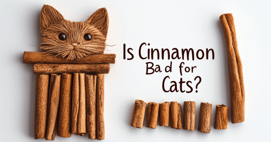 adult cat made from cinnamon sticks with wording "Is Cinnamon Bad for Cats?"