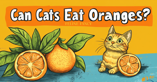 Illustrated scene showing a citrus fruit with a warning symbol, a confused cat nearby, and large text at the top: "Can Cats Eat Oranges?