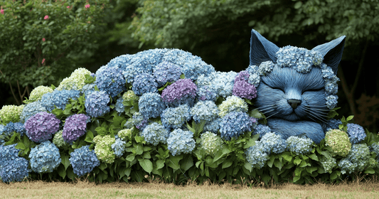 A cat made from a stunning Hydrangeas bush
