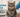 A senior cat sitting on an exam table in a bright veterinary clinic, with a caring vet gently examining the cat. 