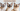 Split image of three low-shedding cat breeds (Devon Rex, Siamese, Bengal) with a modern header across the top saying "Cats That Don’t Shed"