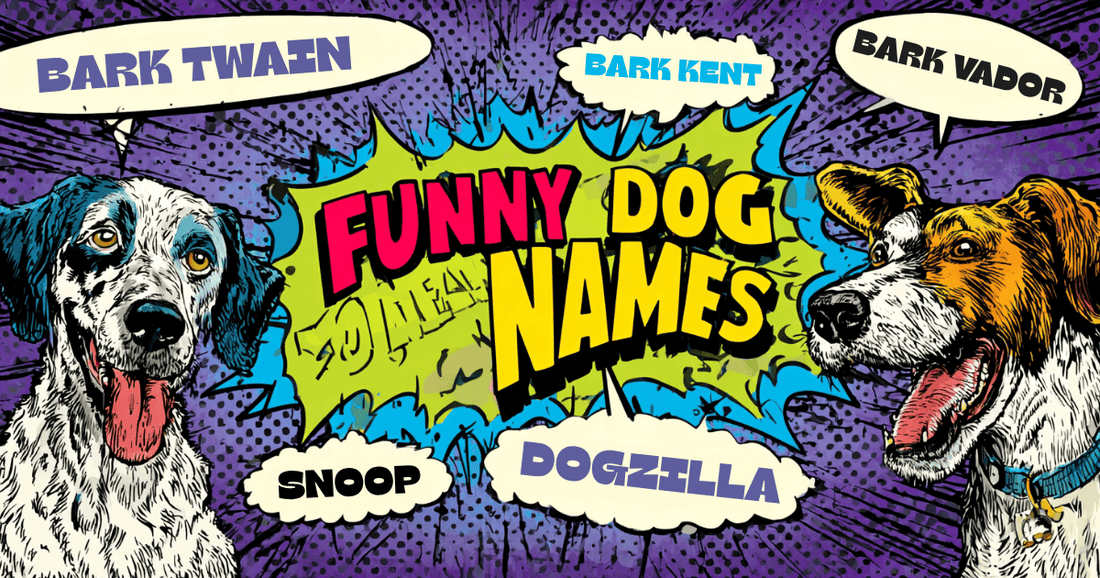 Funny Dog Names with funny artwork 