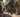 A picture of a French village filled with Cats