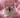 Female Cat with Feline Fancy Logo.