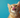 Cat sticking tongue out with Feline Fancy Logo.