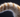 Cat showing tail with Feline Fancy Logo 