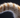 Cat showing tail with Feline Fancy Logo 