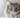 The Australian Mist Cat, News Feed Main Image, With Feline Fancy Logo