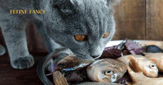 Cat Eating Fish with Feline Fancy Logo.