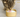 Cat Drinking Milk with Feline Fancy Logo.
