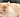 Cat Sneezing with Feline Fancy Logo.