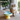 Cat Bowls