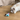 A fluffy white and gray cat with blue eyes looks at a small white, black, and turquoise toy with a pink feather on a light wood floor.