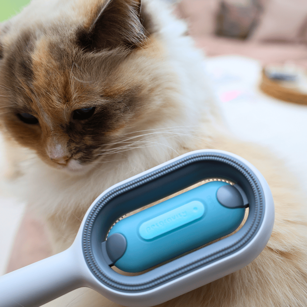 Pet Hair Removal Comb
