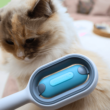 Pet Hair Removal Comb