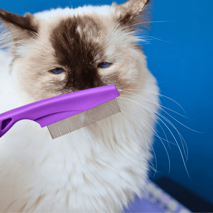 Cat Flea Comb
