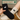 Black and white socks with cat designs held by a person, with 'Feline Fancy' branding in the background.
