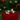 Silver ring with cat design on a red box against a Christmas-themed background