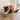 Cat eating from a bowl on a wooden floor