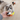 A fluffy gray and white cat sits on a light wood floor watching a human hand hold a small toy car with orange wheels, a yellow brush, and a gray ring. A feather toy is visible in the background.
