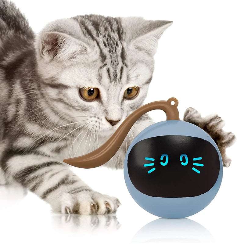 Automatic Cat Toy