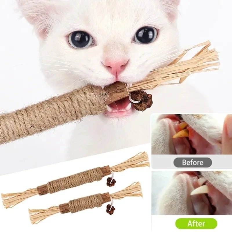 Silvervine Cat Toy