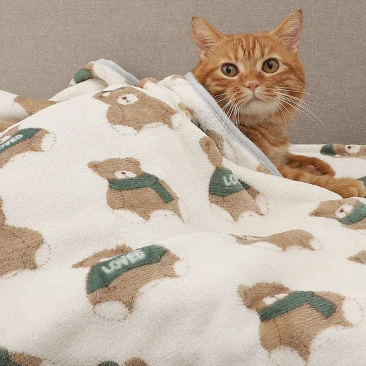 Cute Cat Blanket