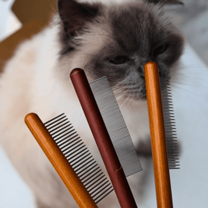 Wooden Cat Comb