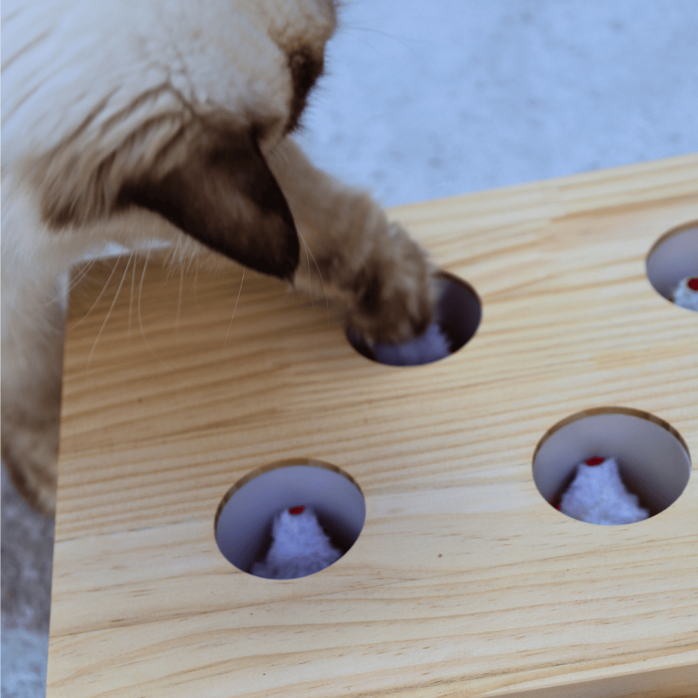 Whack A Mole Cat Toy