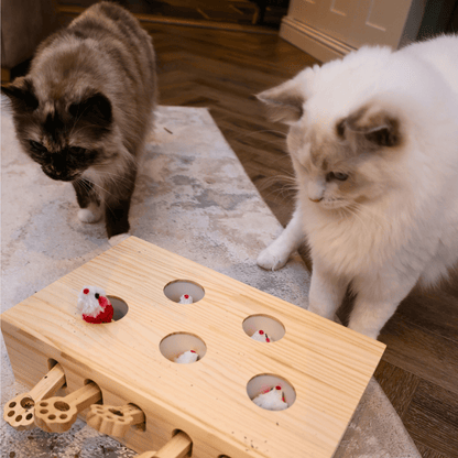 Whack A Mole Cat Toy