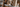 Two kittens playing on a cat tree with a blurred background