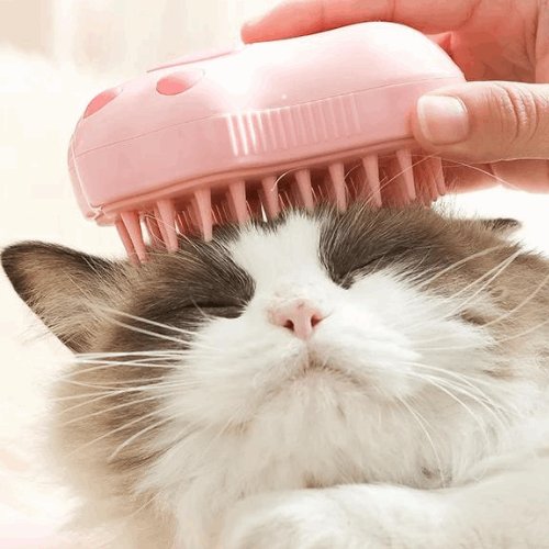 Cat Paw Steam Brush