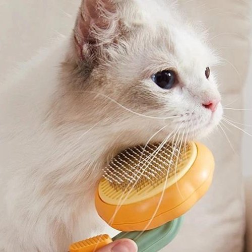 Pumpkin Cat Brush